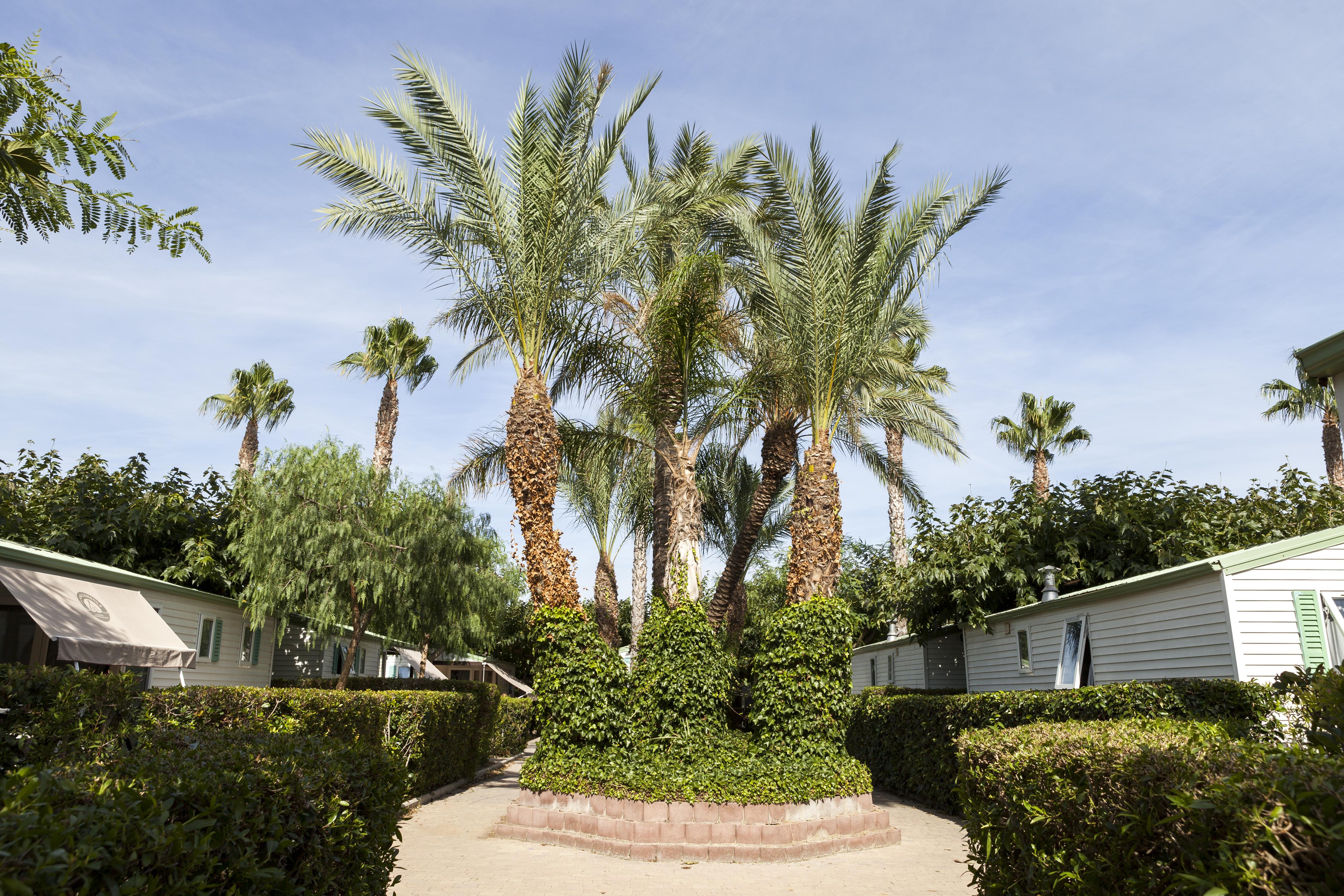 Camping Platja Cambrils Exterior foto